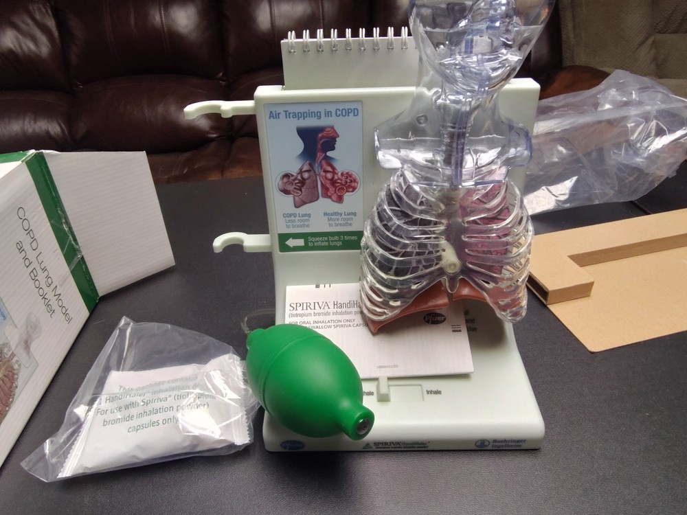 Vintage Pfizer COPD Display Model - Dr office interactive Spiriva Nib lungs