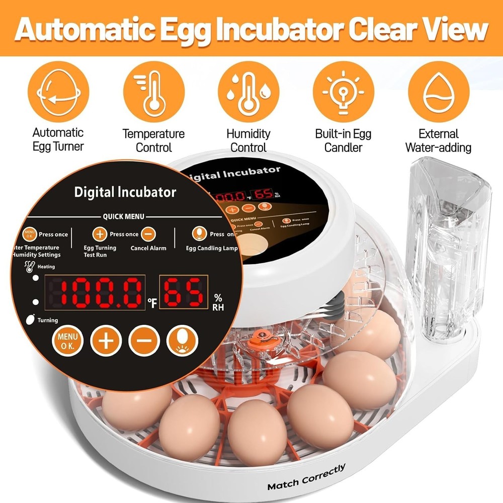 12 Egg Incubator for Hatching Eggs with Automatic Egg Turning, Temperature & ...