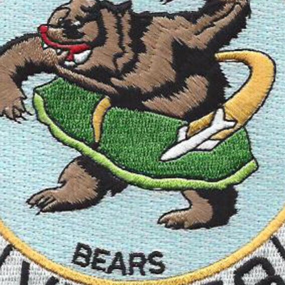 VF-878 Patch Bears