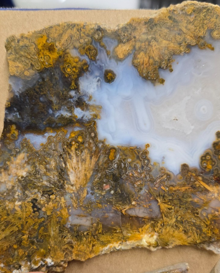 Sagenite Plume Agate Cabochon Slabs, Preforms, Slices, 8 Pcs, Flat 35