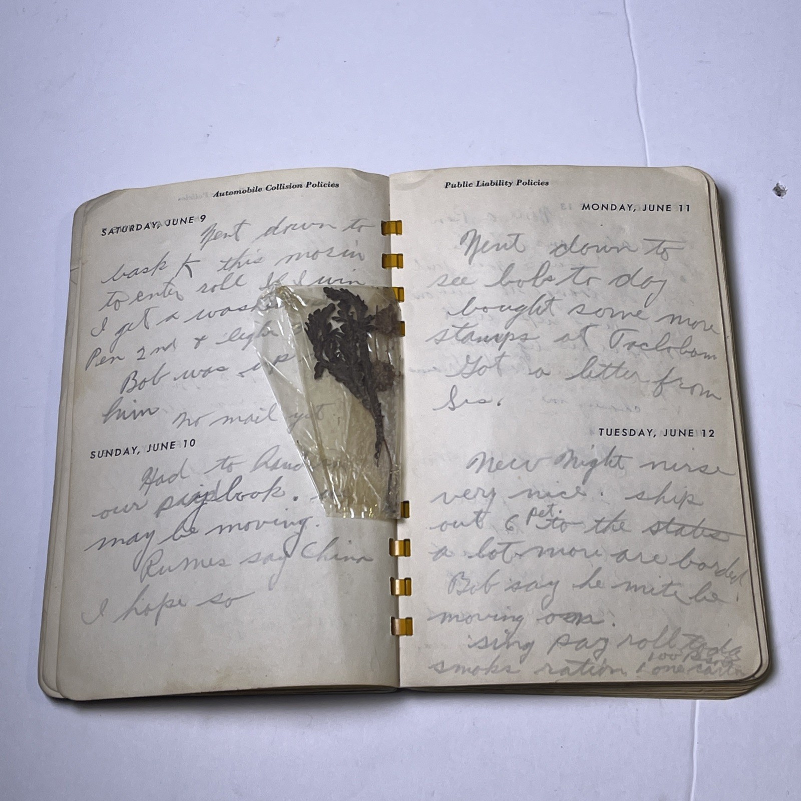 1945 US Navy Domain Of The Golden Dragon Membership Wallet Card WWII + Journal!!