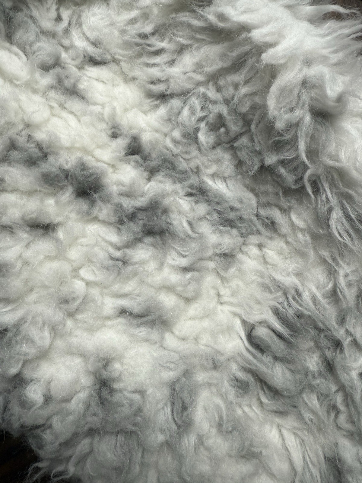 Pottery Barn Teen Harry Potter™ Hedwig Owl Bean Bag SlipCover Only Pre Own Read