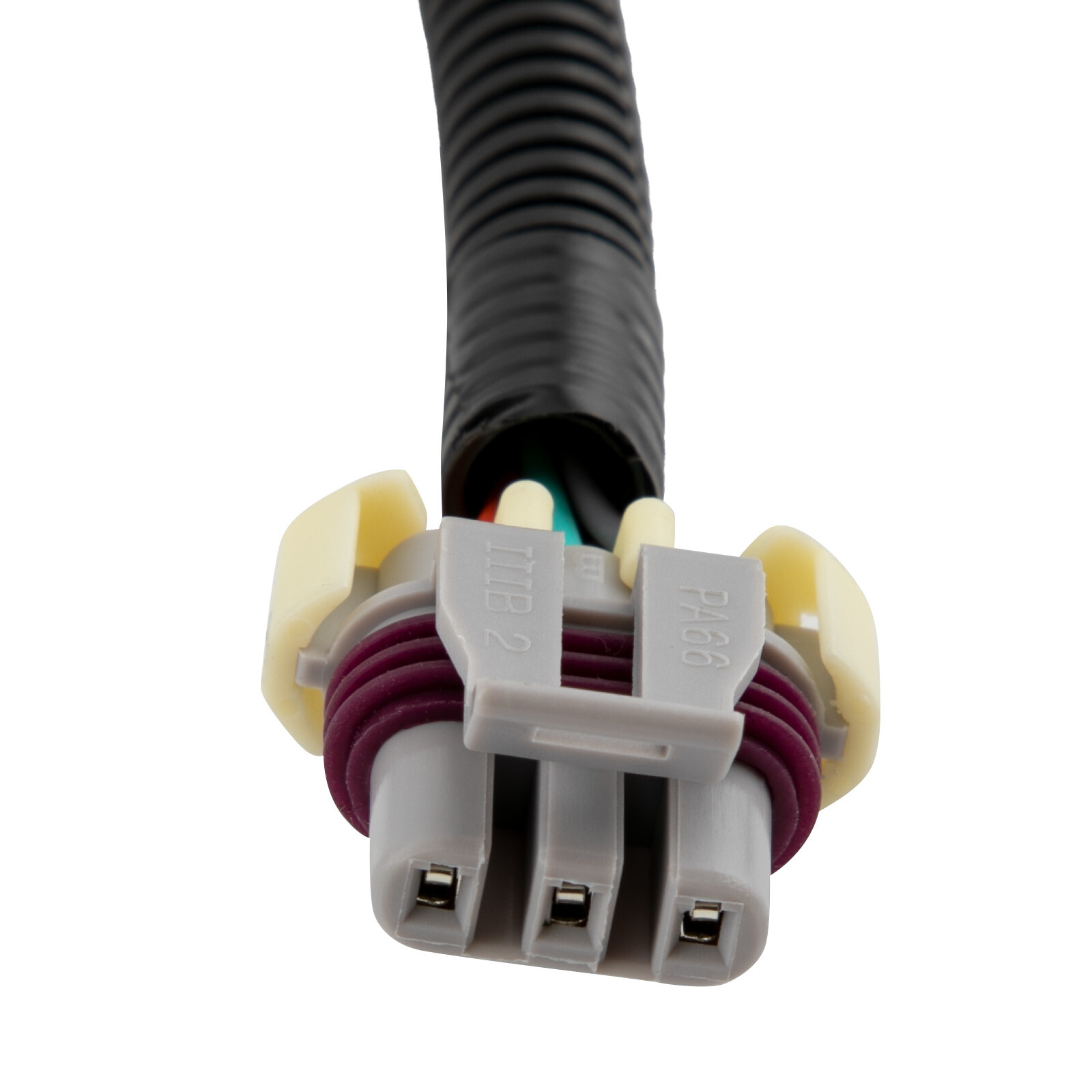 Standalone Harness For T56 Manual Tran 4.8/5.3/6.0l Ls Swap Ls1 Engine 97-06 Dbc