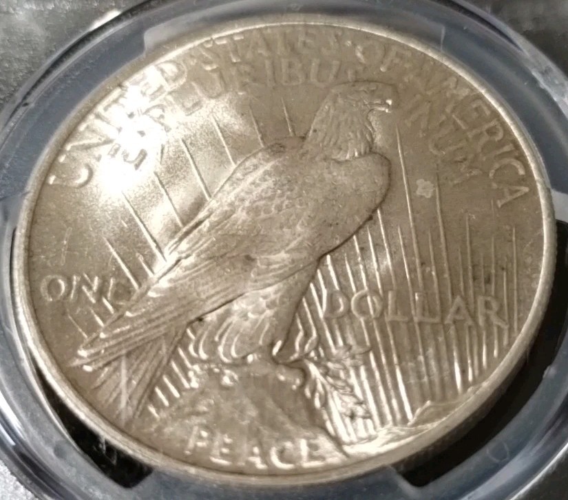 1923 Peace dollar PCGS MS64
