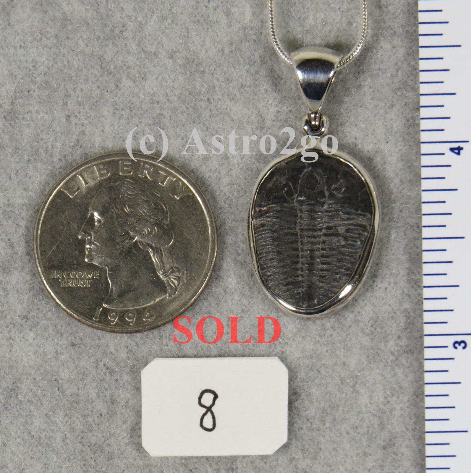 Elrathia Kingii TRILOBITE PENDANT $55 Sterling Silver Jewelry STARBORN CREATIONS