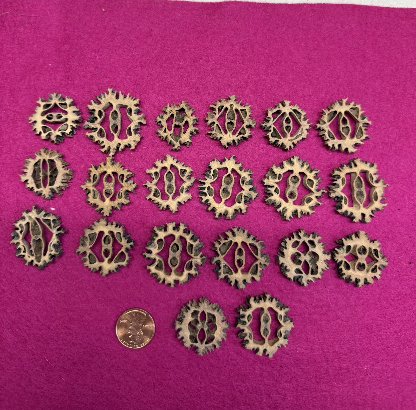 Black Walnut Shell Slices For Crafts - 20 Pieces - Vintage