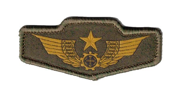 Chinese Type 21 Army breast patch