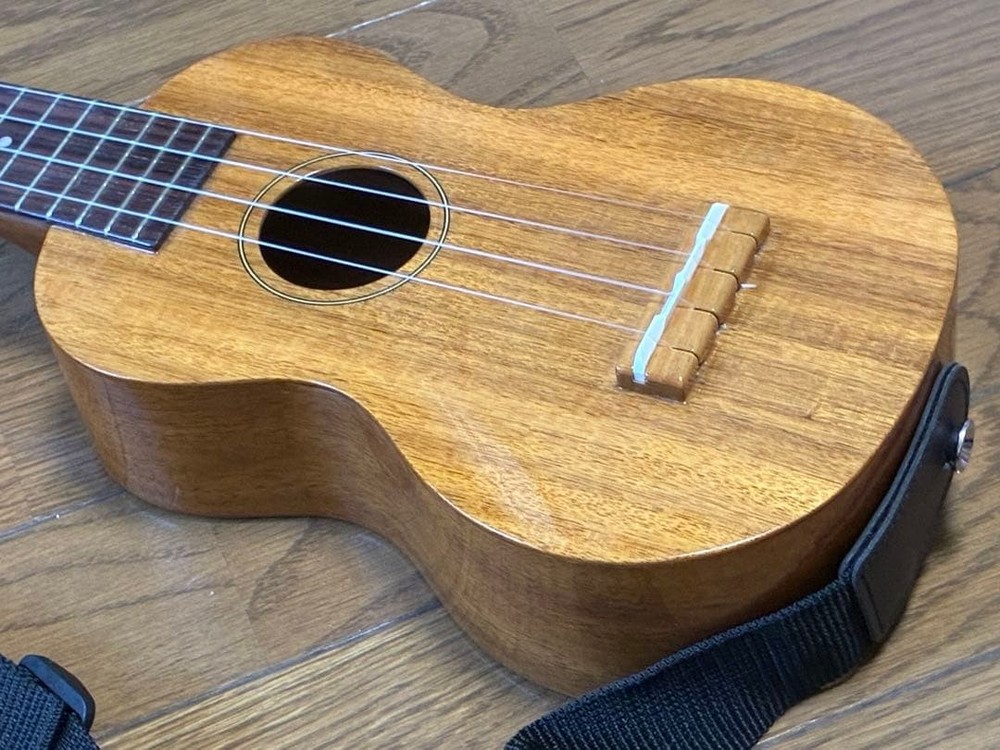 Famous FS-5G (good condition)