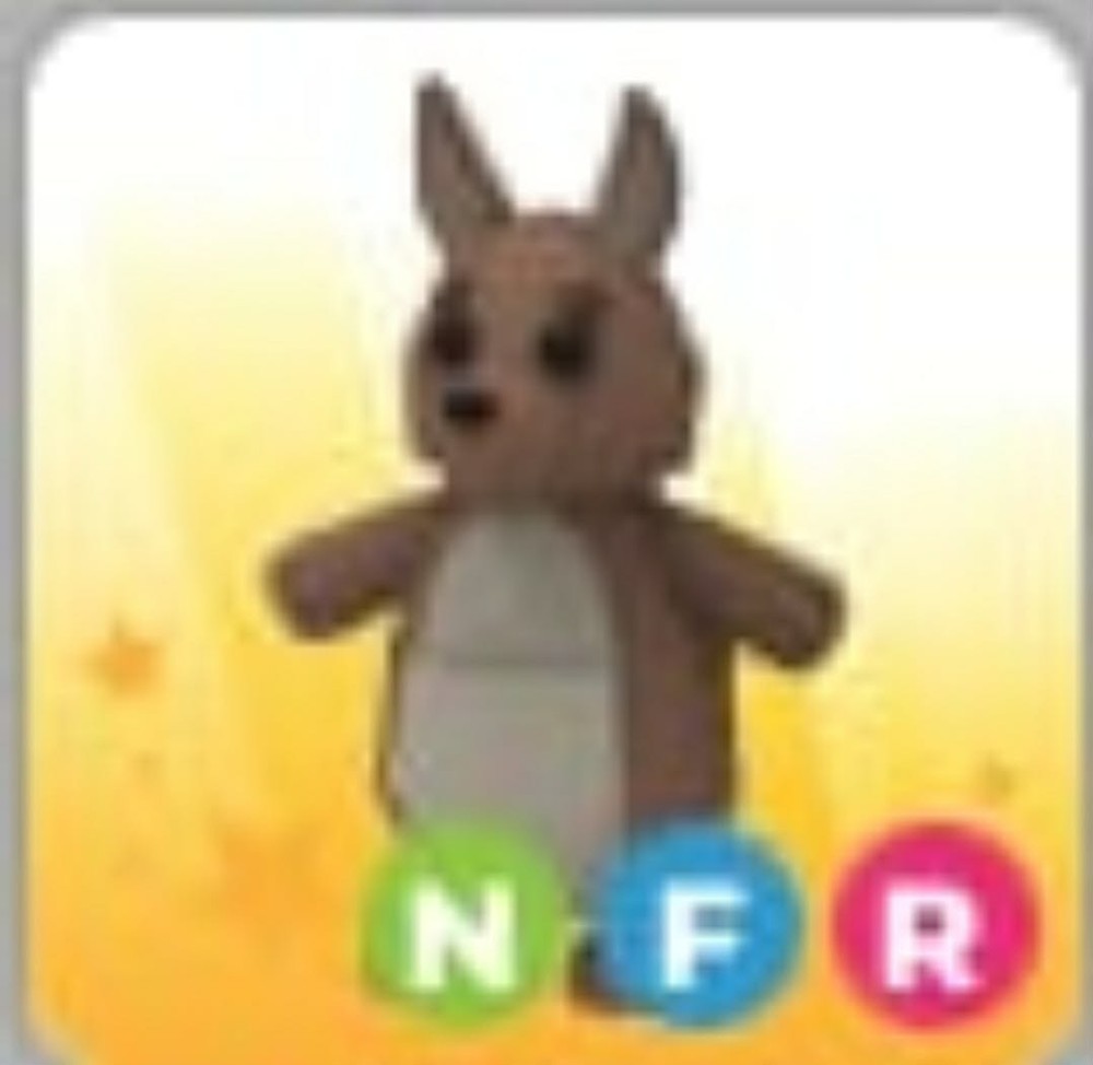 Kangaroo N | Neon | Adopt Now