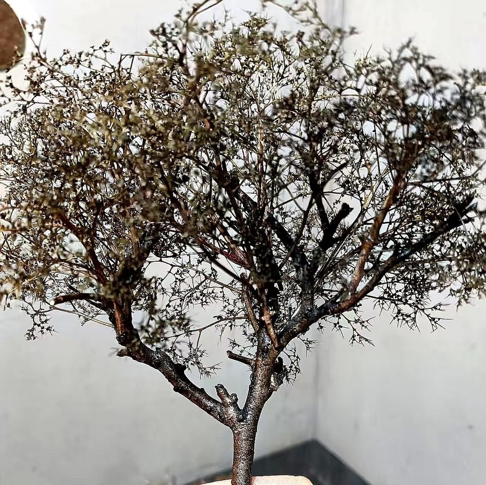 12×11×10cm Boxed Miniature Artificial Plants - Scenery Model Decor