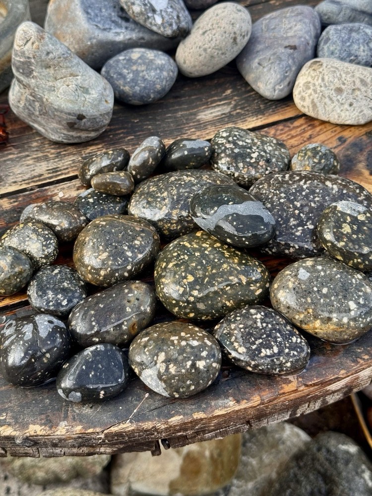 Rocks for Tumbling Lapidary Material Rough