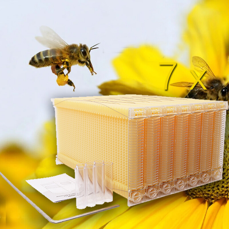 Auto Bee Hive Frames Beekeeping Frames Honey Comb for Langstroth Bee Hives Boxes