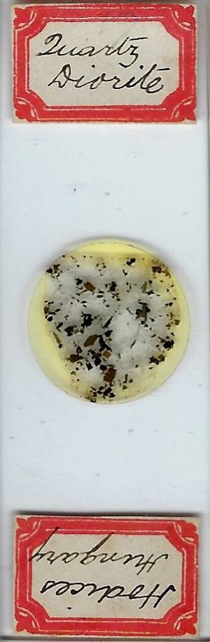 Quartz Diorite from Hungary Petrographic Microscope Slide