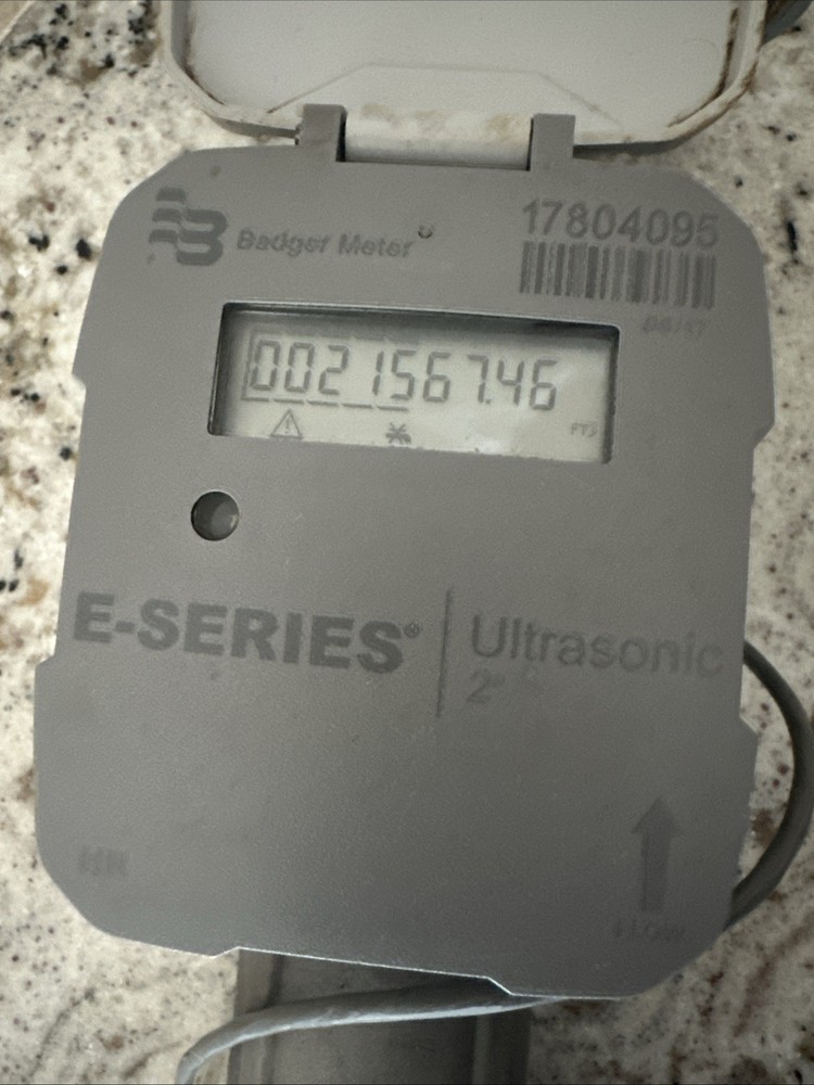 Badger Meter E-Series Ultrasonic 2'' Flow Rate Meter LCD