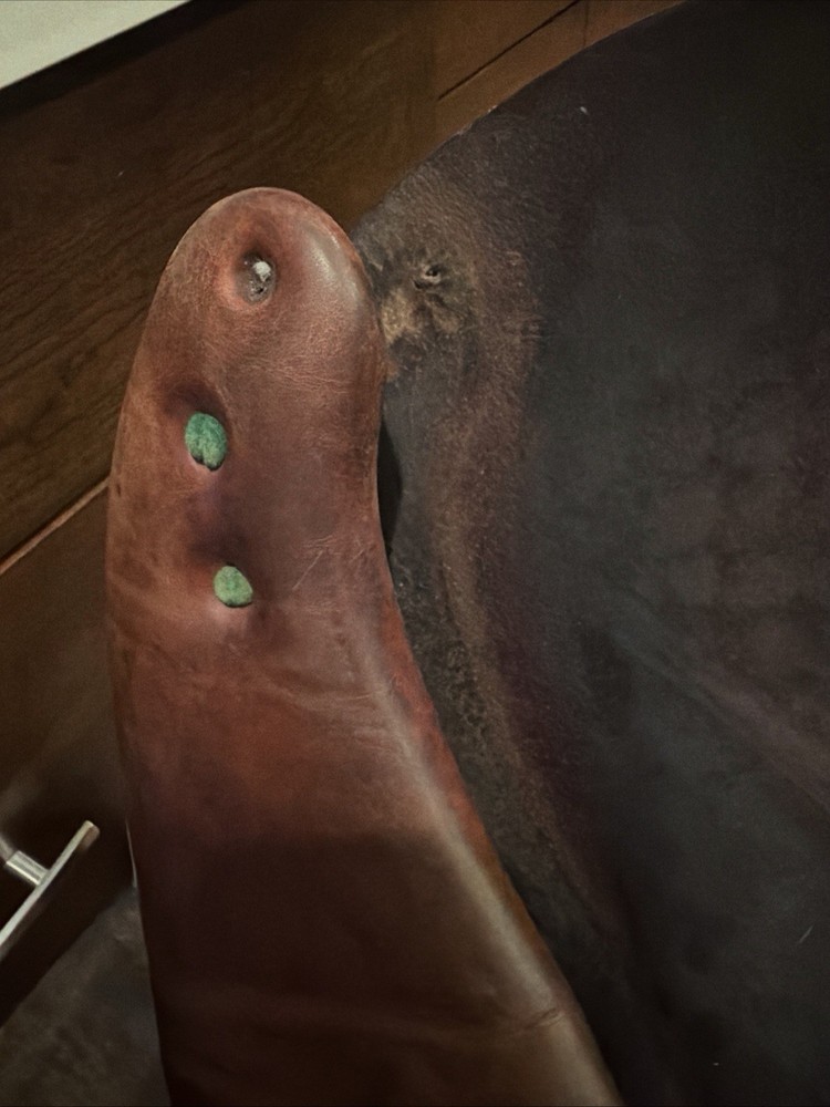 Devoucoux Biarritz Arcade Normale 16.5” 2A