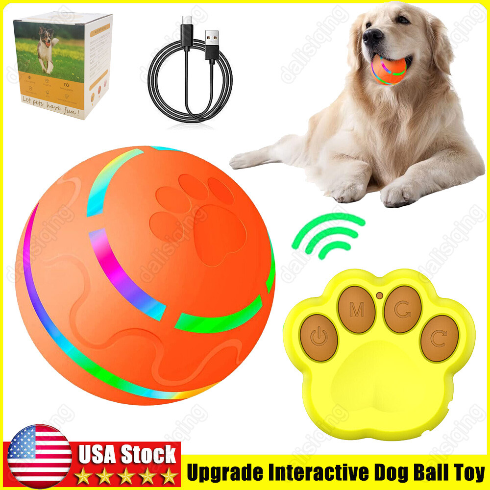 Peppy Pet Ball for Dogs with Remote Control Interactive Dog Ball Toy LED Flash
