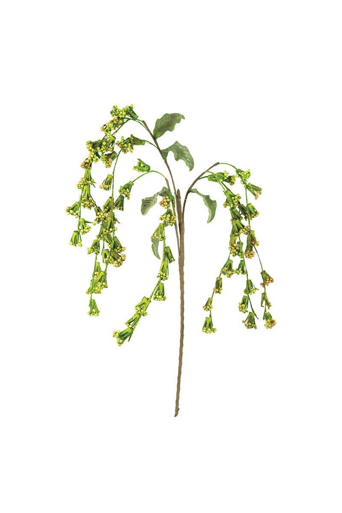 Trailing Green & Crimson Berry Stem
