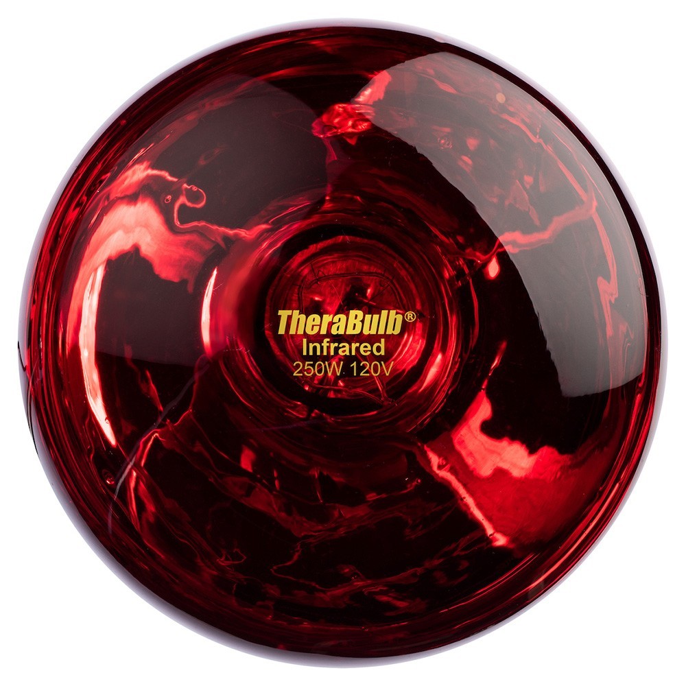 TheraBulb Near Infrared Bulb - 250W/120V - Sold by Manufacturer