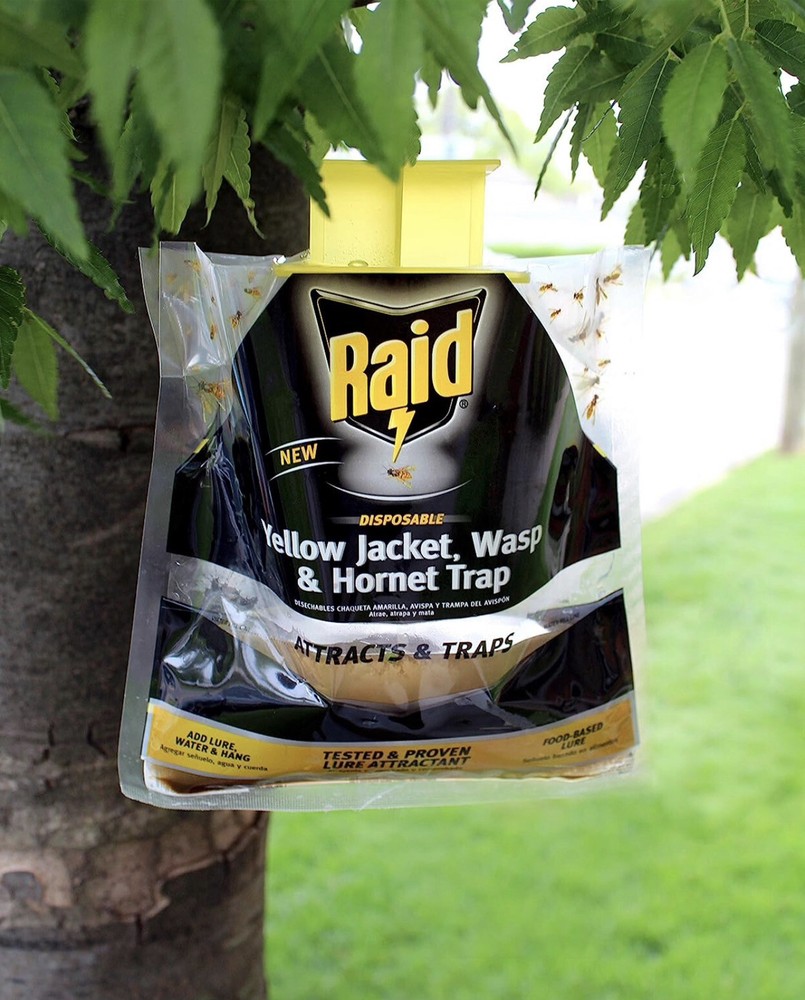 Raid 2 Pack Disposable Traps Yellow Jackets, Wasps and Hornets