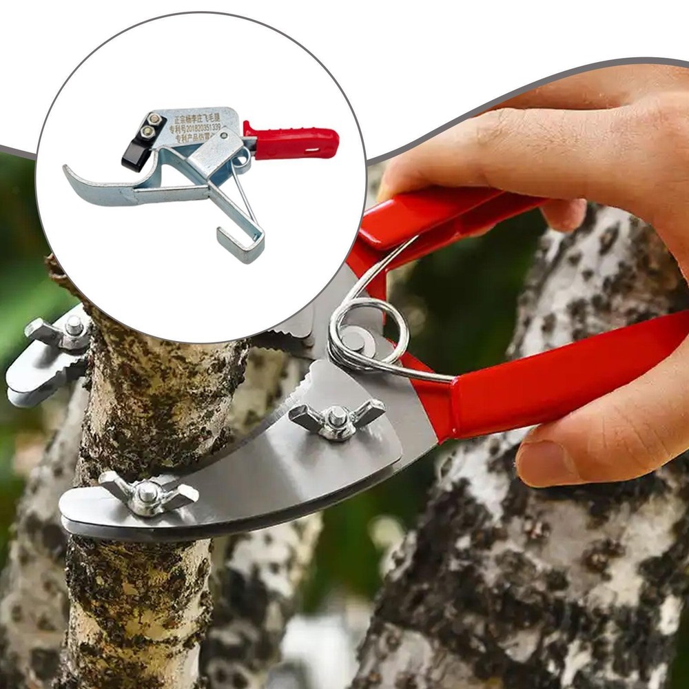 Fruit Tree Bark Stripping Tool: Robust, Essential, Efficient, Practical,