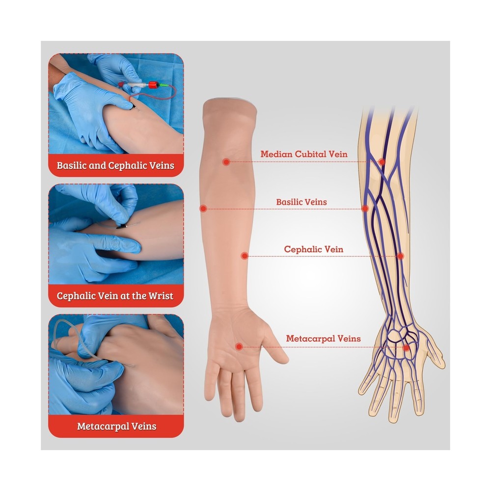 Phlebotomy Practice Kit, IV Practice Kit with Phlebotomy Arm, Venipuncture & ...