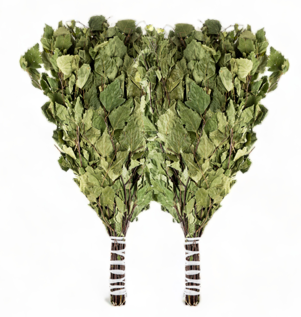 SET OF 2 Large Birch Sauna Whisk Russia Venik Spa Broom Веник для бани