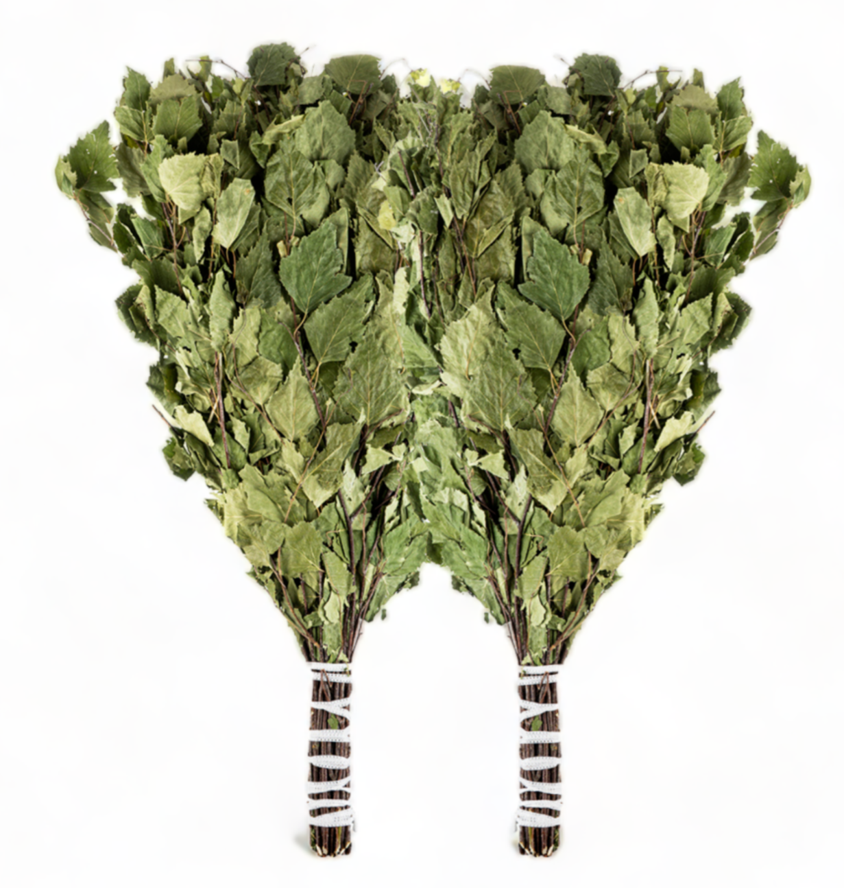 SET OF 2 Large Birch Sauna Whisk Russia Venik Spa Broom Веник для бани Березовый