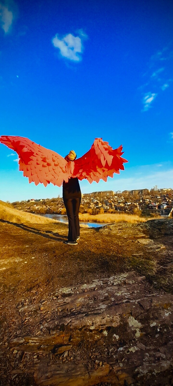 Red Angel Wings Costume Moveable Wings Red Adult Wings Cosplay Halloween Costume