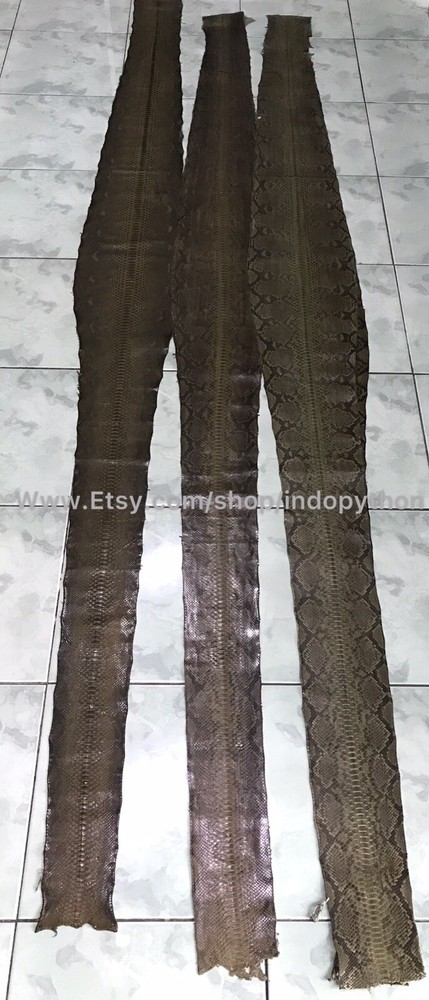 Genuine Python Leather, Exotic Snake Skin, Green SnakeSkin, Green Python Leather