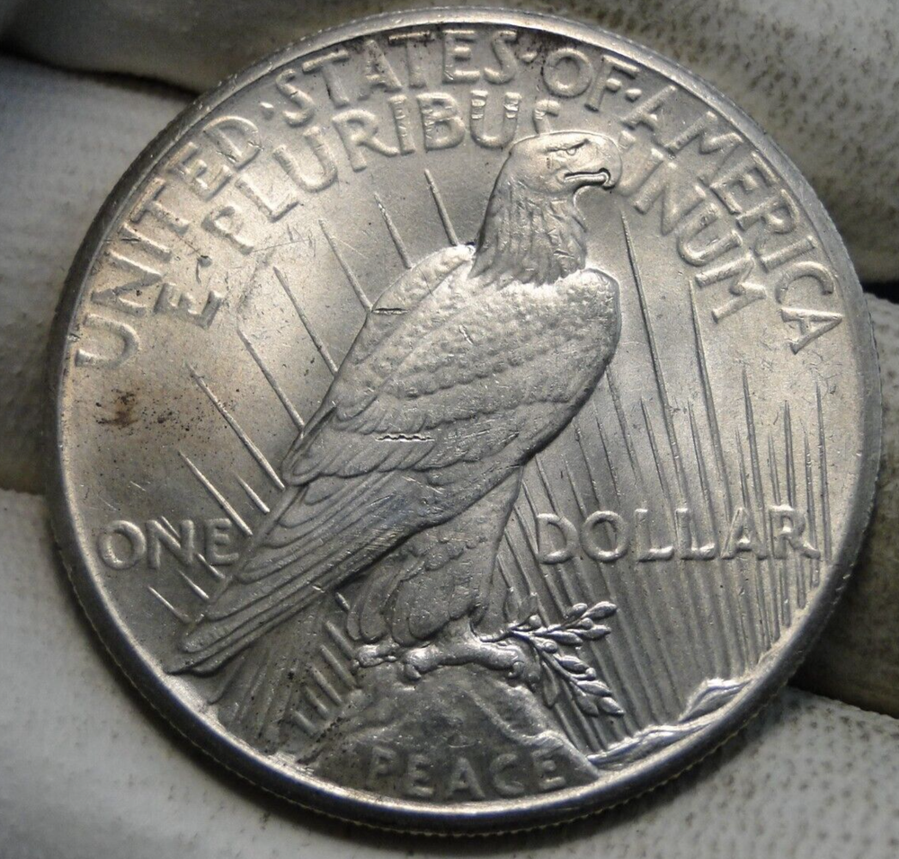 1928 Peace Dollar