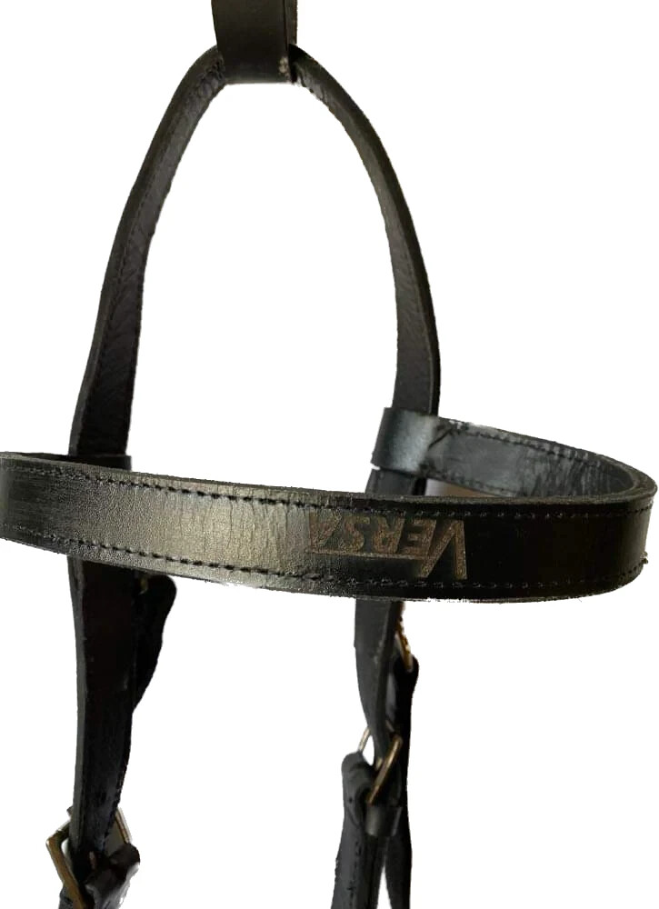 Versa Training Quick Change Bridle