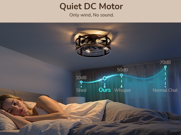 EDISHINE Pre-Assembled Ceiling Fan with Light & Remote 21" Flush Mount Farmhouse