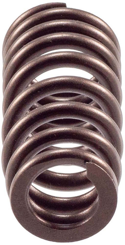 Valve Spring Melling VS2262