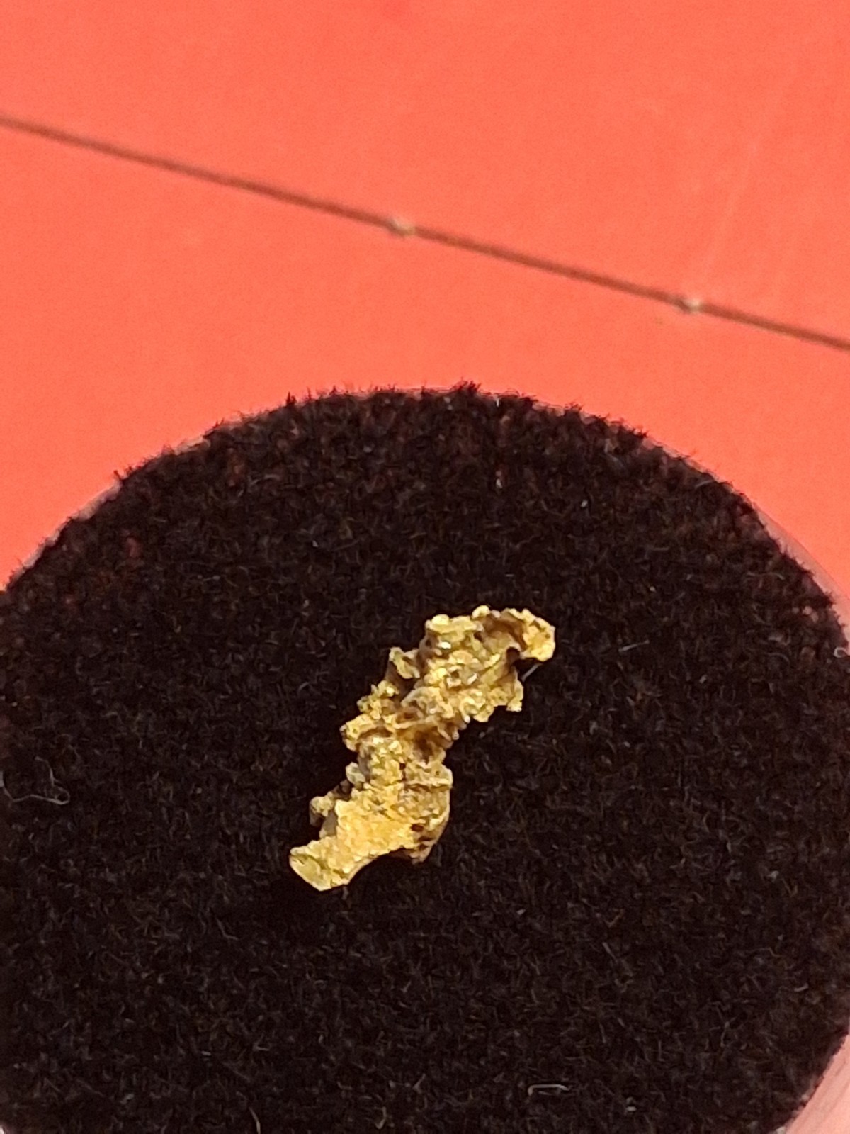 Crystalline Gold Nugget 0.294g from Kansas Twister Paydirt