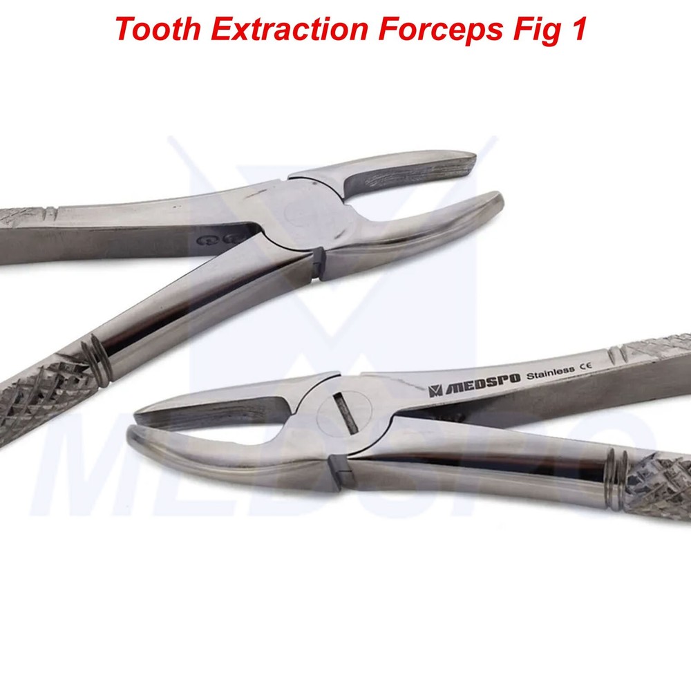 Dental Extraction Forceps Fig 01 Upper Incisors Tooth Extracting Instruments CE