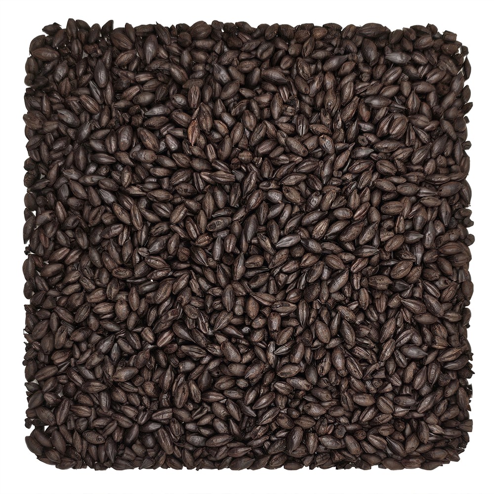 Home Brew Ohio Coffee Malt Grain 1lb