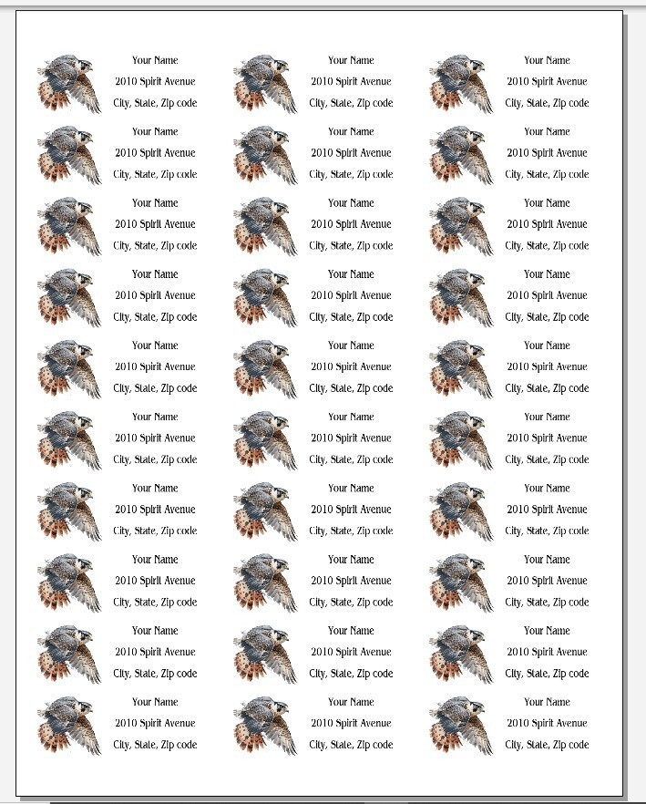 150 Falcon Bird Flying Mailing Return Address Labels Personalized