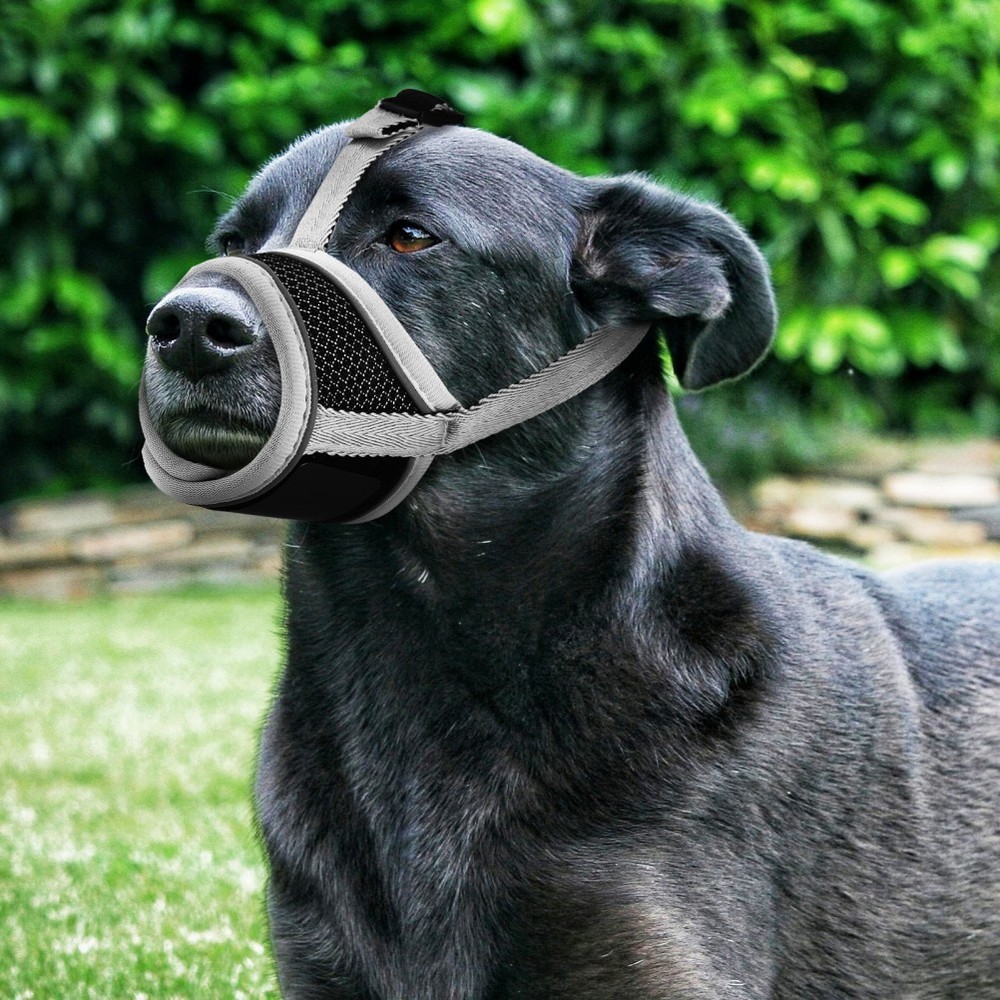 Muzzle for Medium Sized Dogs Small Barking Biting Prevention Breathable
