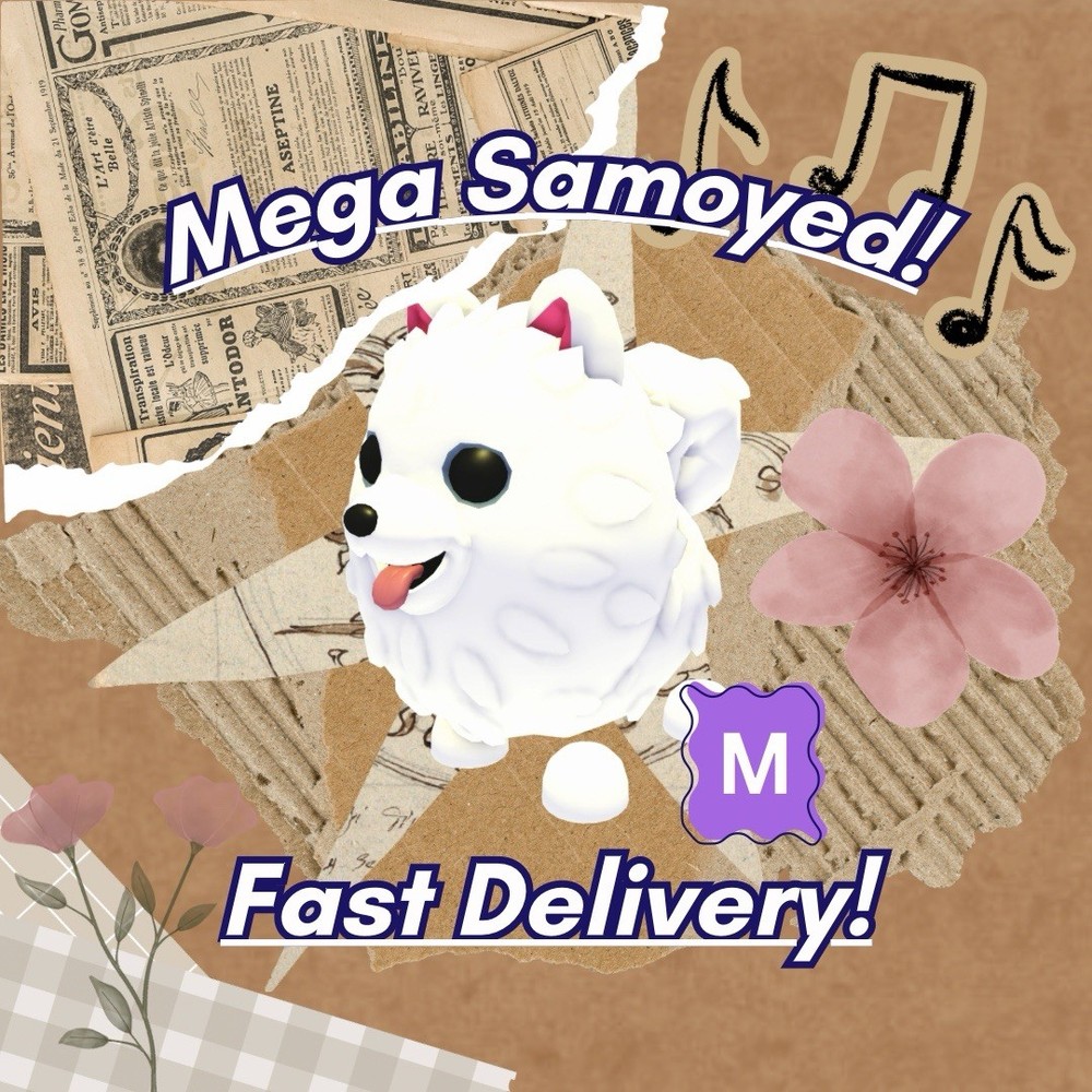 🤍Mega Samoyed🐾