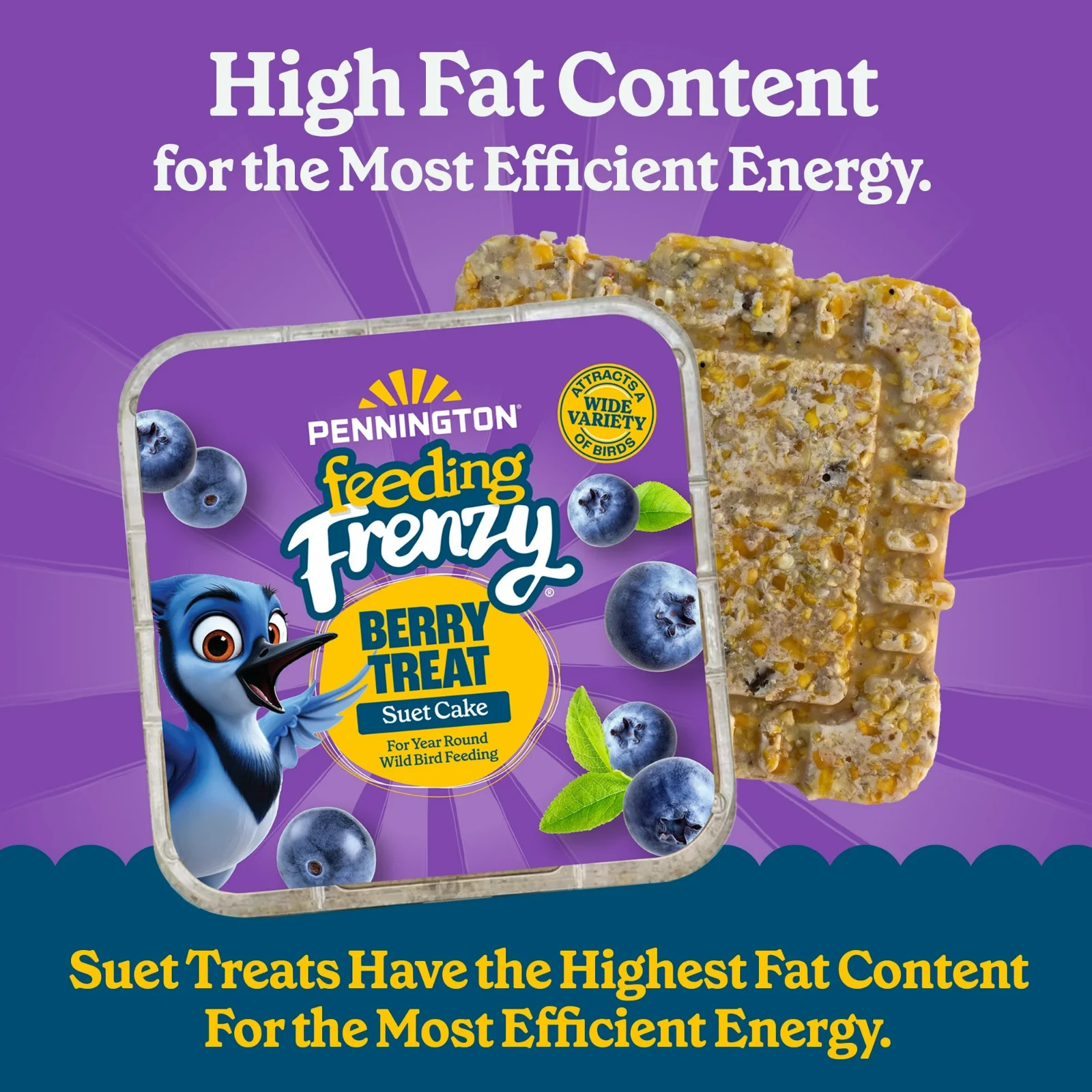 Pennington Fresh Wild Bird Suet - 8 Pack 11.75oz,Feeding Frenzy Berry Treat Cake