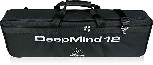 Behringer (DEEPMIND 12-TB)From Japan