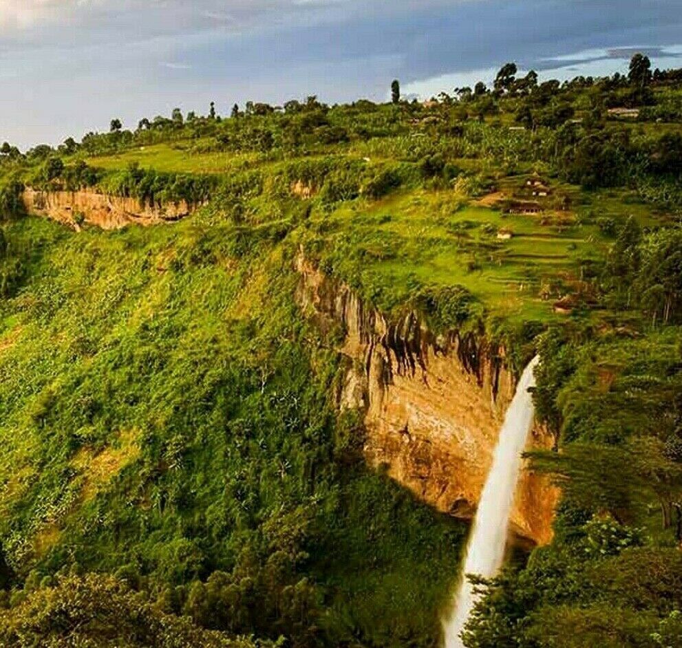 100% HAWAIIAN / KONA COFFEE BEANS MEDIUM ROASTED 2 / 12 POUNDS