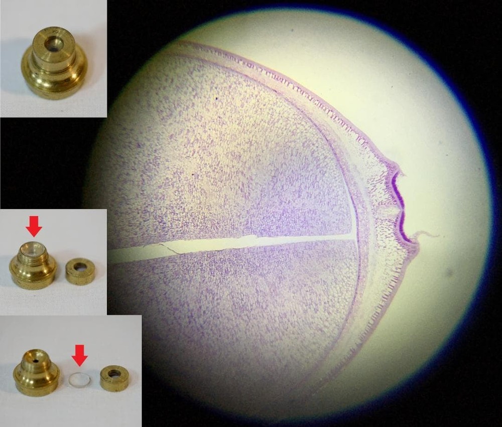 microscope antique John Richardson's cuff microscope