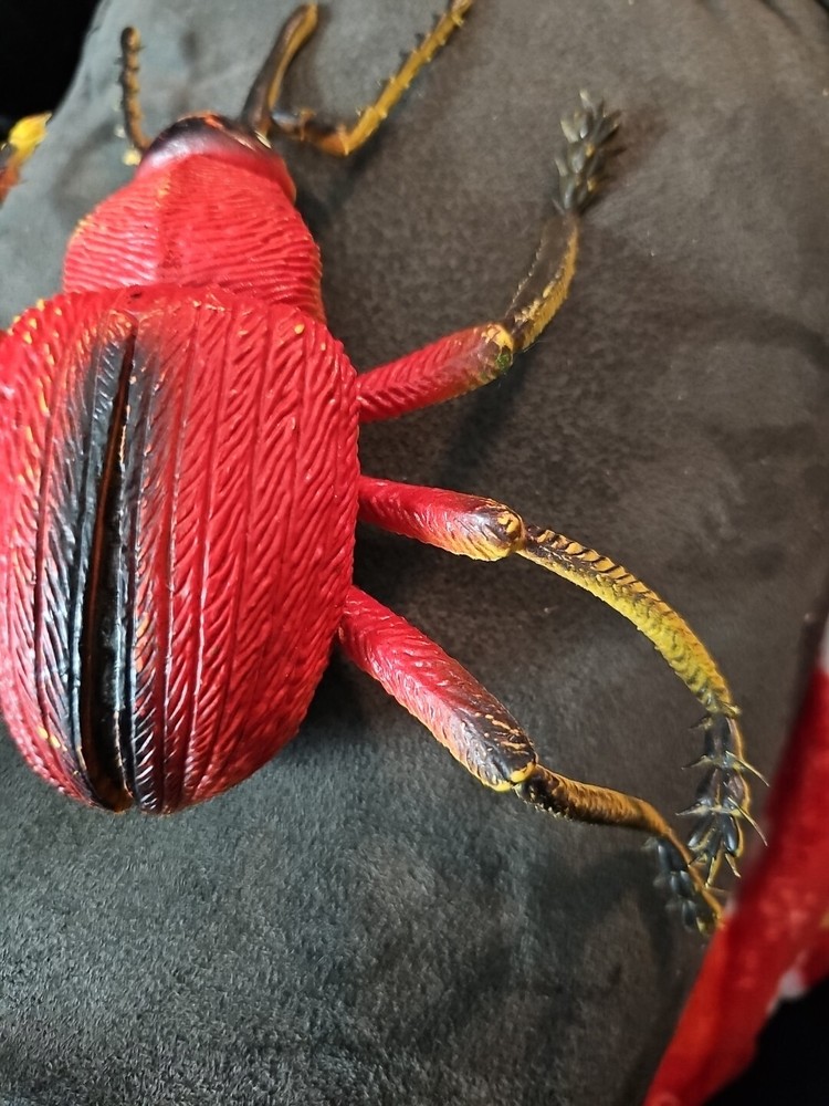 Unbranded Large Plastic Bug (7inx.5inx6in)