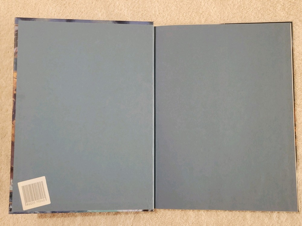 Dungeons & Dragons 4e Neverwinter Campaign Setting Including Map