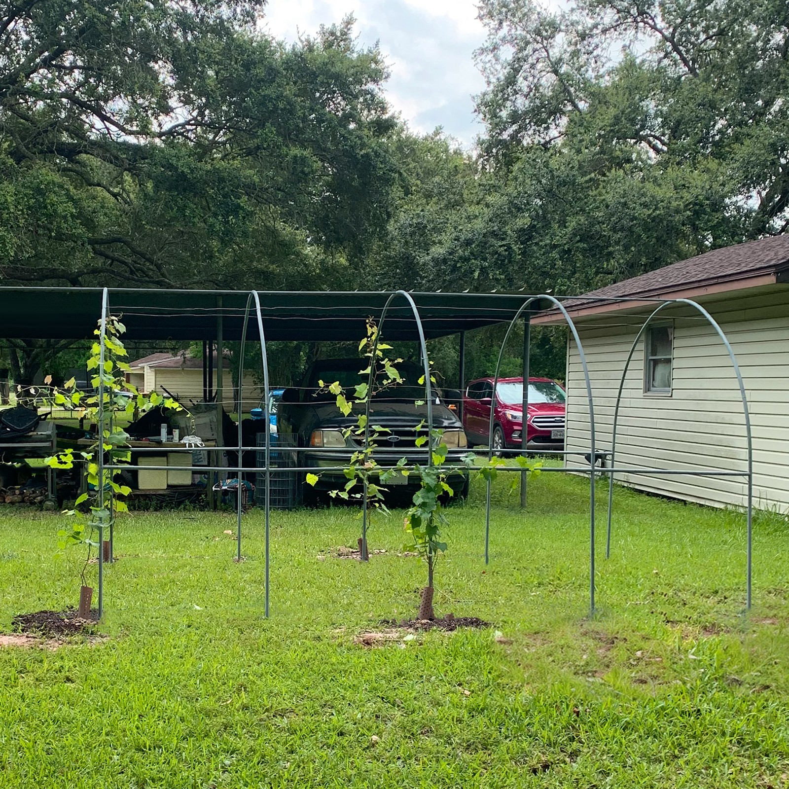 13x7x7.2 ft Steel Garden Arch Rose Arbor Climbing Plant Grape Support Frame Yard