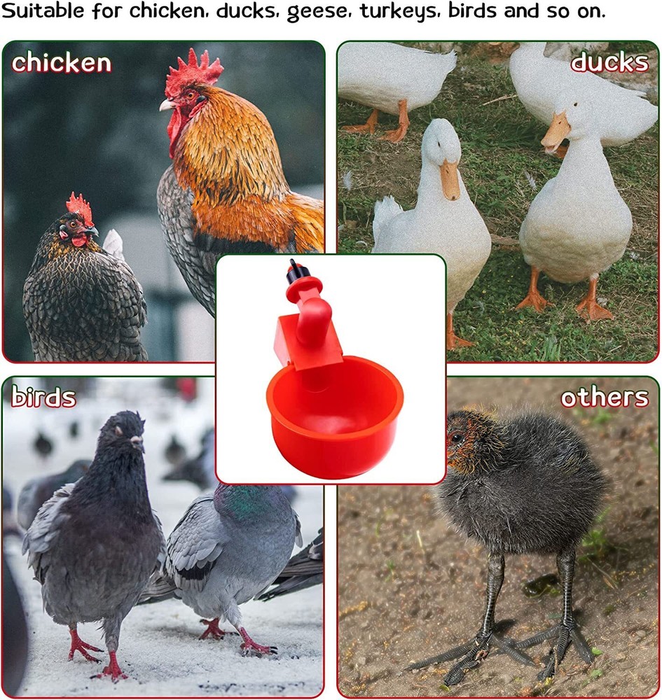 8Pcs Automatic Water Cups Poultry Drinker Waterer Chicken Ducks Quail Drinking