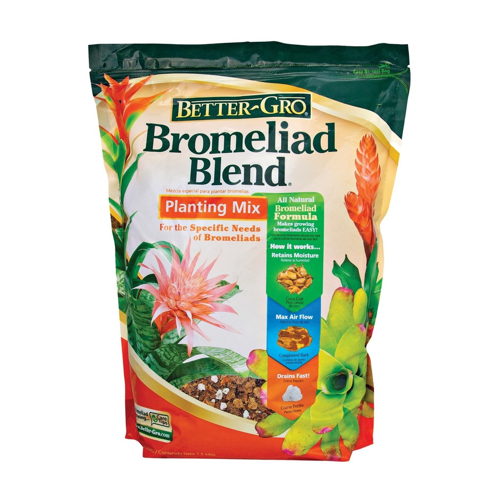 Bromeliad Blend 8 Quart