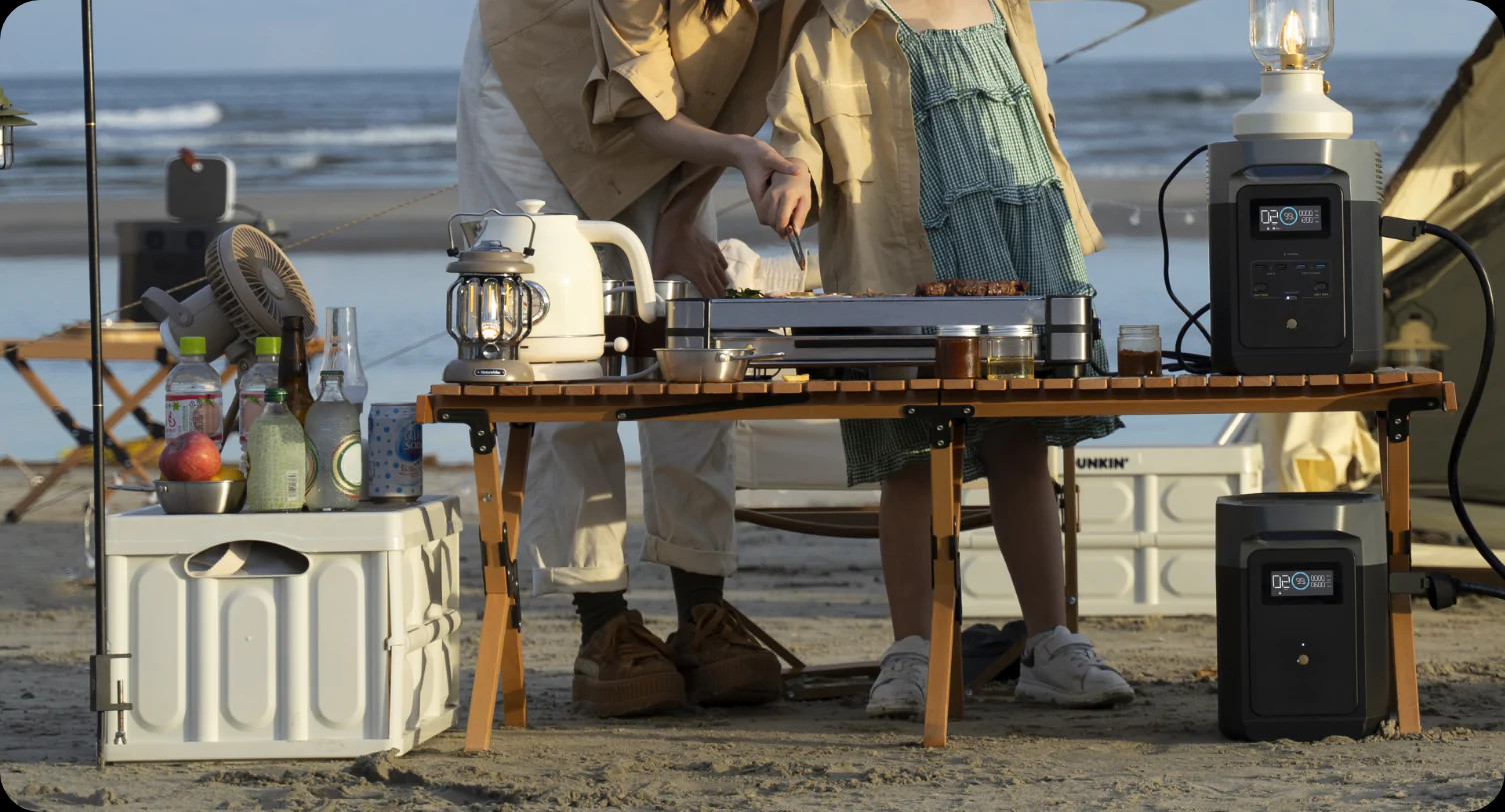 EcoFlow DELTA 2 Smart Generator Extra Battery 1024Wh Certified Refurbished, LFP