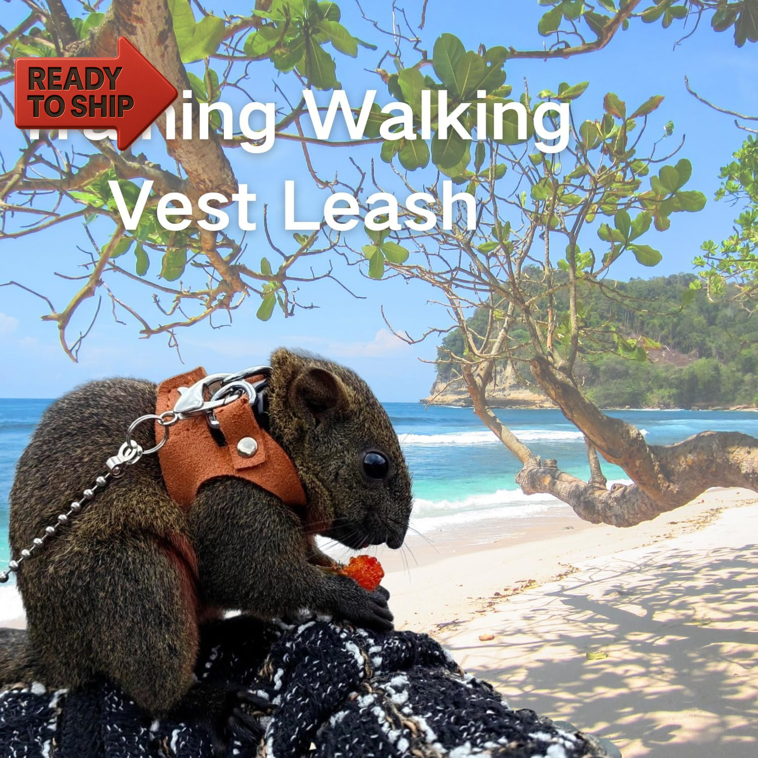 3 Pack Squirrel Harness and Leash Set - Adjustable Soft Leather & Traction Rope